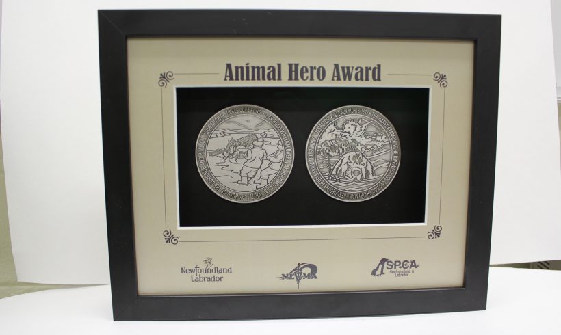 Animal Hero Award